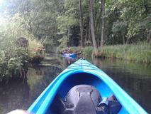 20120714_114741.jpg