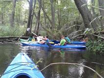 20120715_105510.jpg