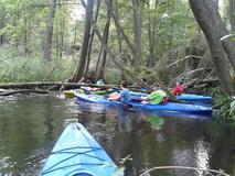 20120715_105520.jpg