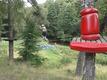 20120715_121703.jpg